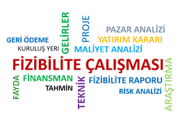 Fizibilite nedir?