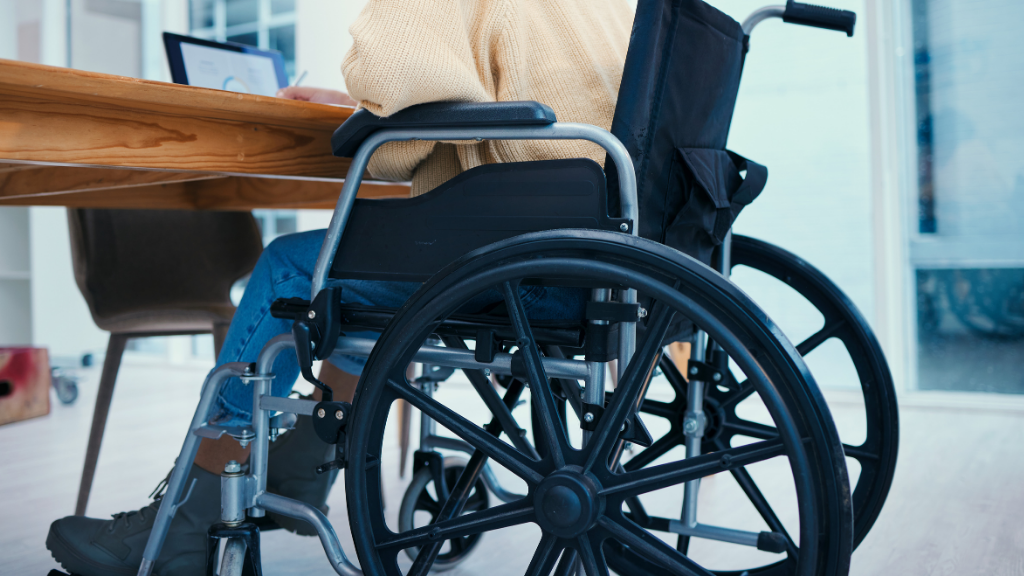 Engelli ve Heyet Raporu Sorgulama: e-Devlet Üzerinden Adım Adım (Güncel Linklerle)